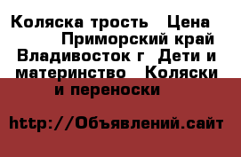 Коляска трость › Цена ­ 1 000 - Приморский край, Владивосток г. Дети и материнство » Коляски и переноски   